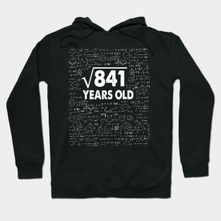 Square Root of 841 29th Birthday 29 Years Old Math Science Lover Gifts Nerdy Geeky Gift Idea Hoodie